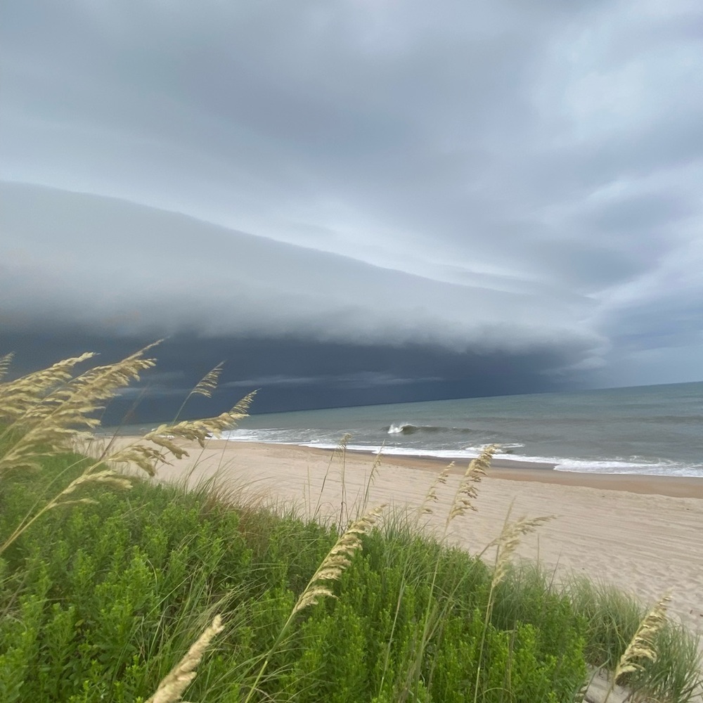 Meet your Posher, Jessie